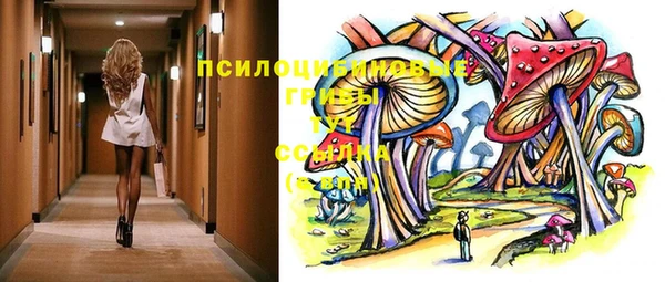 эйфоретик Беломорск