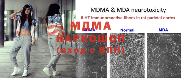 эйфоретик Беломорск