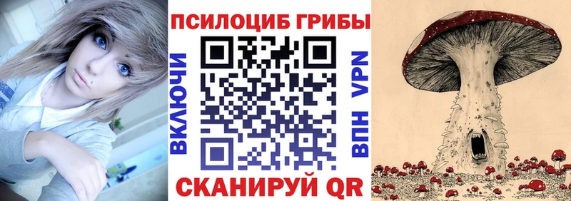 Купить закладки  Северо-Курильск  Галлюциногенные грибы прущие грибы 
